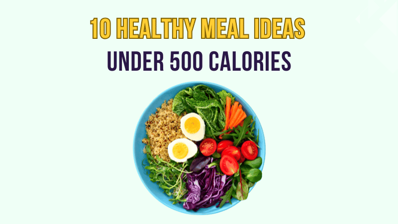 healthy meal ideas under 500 calories