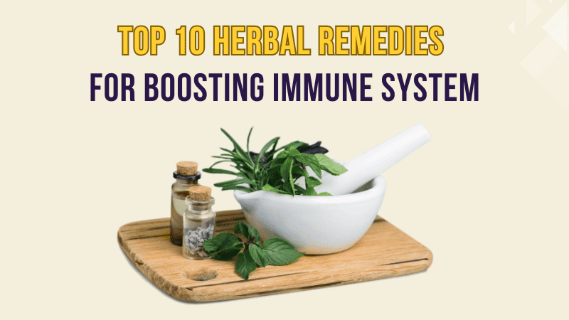 herbal remedies for boosting immune system
